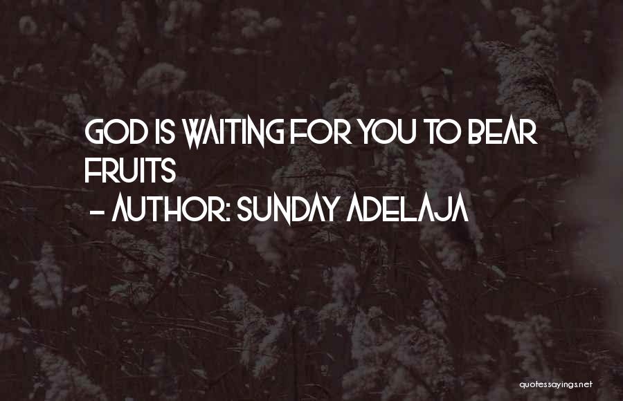 Sunday Adelaja Quotes: God Is Waiting For You To Bear Fruits