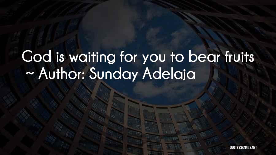Sunday Adelaja Quotes: God Is Waiting For You To Bear Fruits