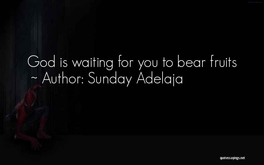 Sunday Adelaja Quotes: God Is Waiting For You To Bear Fruits
