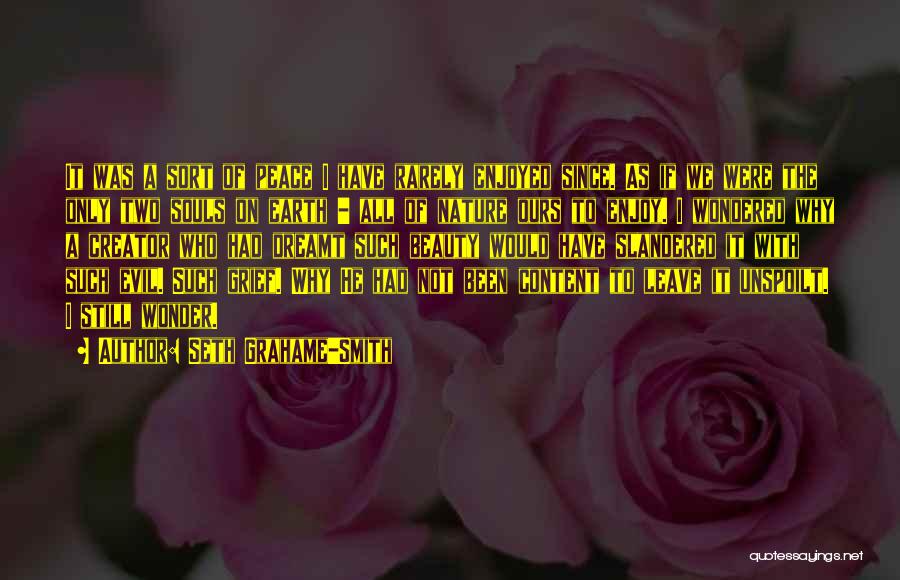 Seth Grahame-Smith Quotes: It Was A Sort Of Peace I Have Rarely Enjoyed Since. As If We Were The Only Two Souls On