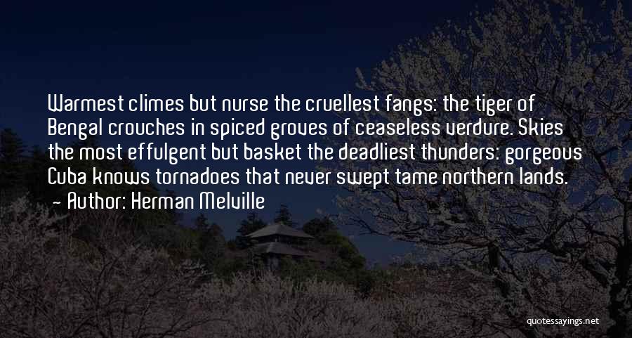 Herman Melville Quotes: Warmest Climes But Nurse The Cruellest Fangs: The Tiger Of Bengal Crouches In Spiced Groves Of Ceaseless Verdure. Skies The