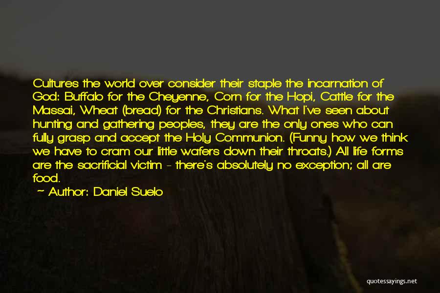 Daniel Suelo Quotes: Cultures The World Over Consider Their Staple The Incarnation Of God: Buffalo For The Cheyenne, Corn For The Hopi, Cattle