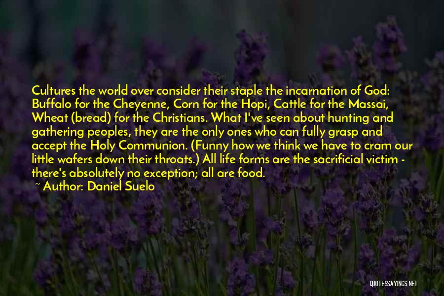 Daniel Suelo Quotes: Cultures The World Over Consider Their Staple The Incarnation Of God: Buffalo For The Cheyenne, Corn For The Hopi, Cattle