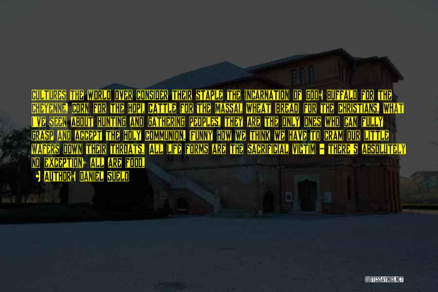 Daniel Suelo Quotes: Cultures The World Over Consider Their Staple The Incarnation Of God: Buffalo For The Cheyenne, Corn For The Hopi, Cattle