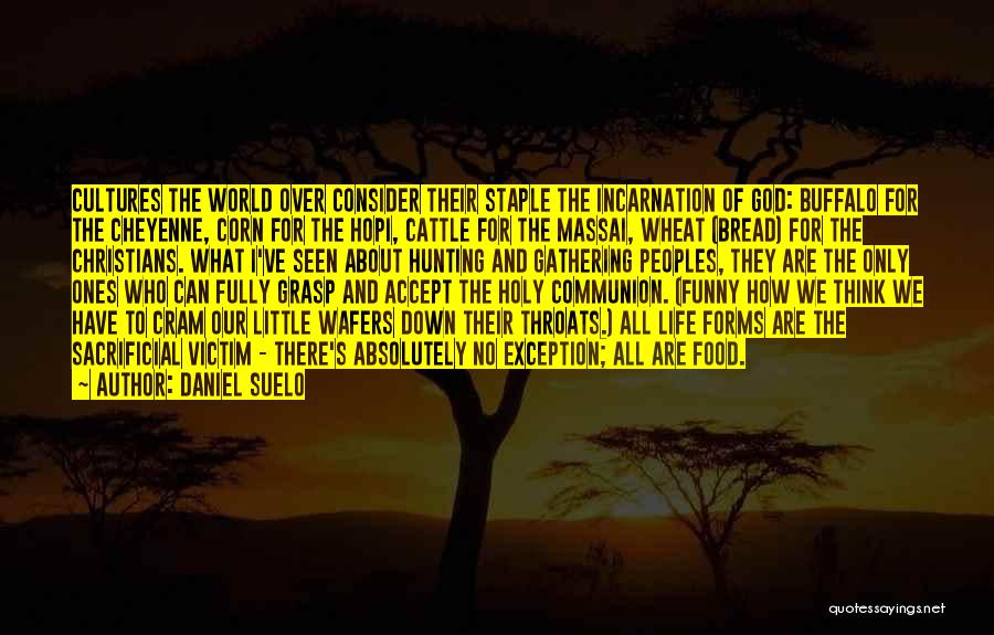 Daniel Suelo Quotes: Cultures The World Over Consider Their Staple The Incarnation Of God: Buffalo For The Cheyenne, Corn For The Hopi, Cattle