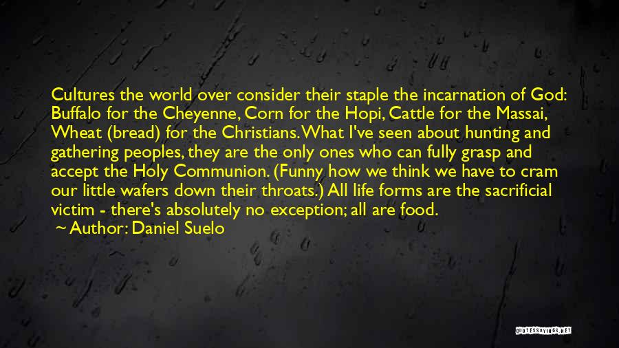 Daniel Suelo Quotes: Cultures The World Over Consider Their Staple The Incarnation Of God: Buffalo For The Cheyenne, Corn For The Hopi, Cattle