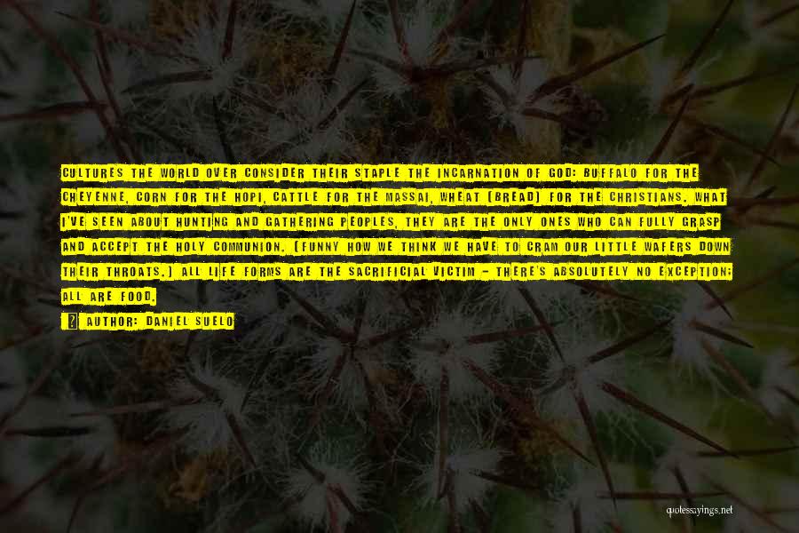 Daniel Suelo Quotes: Cultures The World Over Consider Their Staple The Incarnation Of God: Buffalo For The Cheyenne, Corn For The Hopi, Cattle