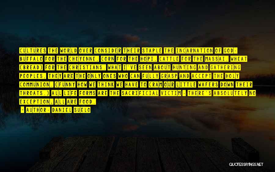 Daniel Suelo Quotes: Cultures The World Over Consider Their Staple The Incarnation Of God: Buffalo For The Cheyenne, Corn For The Hopi, Cattle