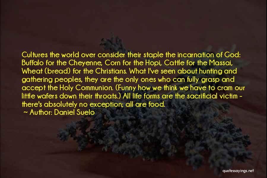 Daniel Suelo Quotes: Cultures The World Over Consider Their Staple The Incarnation Of God: Buffalo For The Cheyenne, Corn For The Hopi, Cattle