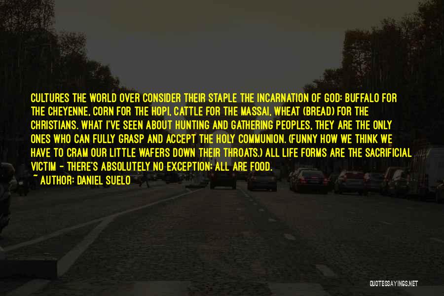 Daniel Suelo Quotes: Cultures The World Over Consider Their Staple The Incarnation Of God: Buffalo For The Cheyenne, Corn For The Hopi, Cattle