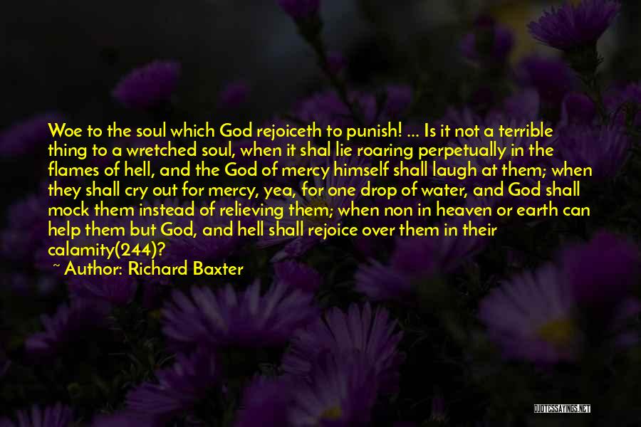 Richard Baxter Quotes: Woe To The Soul Which God Rejoiceth To Punish! ... Is It Not A Terrible Thing To A Wretched Soul,