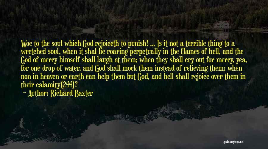 Richard Baxter Quotes: Woe To The Soul Which God Rejoiceth To Punish! ... Is It Not A Terrible Thing To A Wretched Soul,