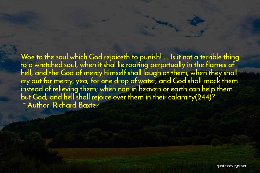 Richard Baxter Quotes: Woe To The Soul Which God Rejoiceth To Punish! ... Is It Not A Terrible Thing To A Wretched Soul,