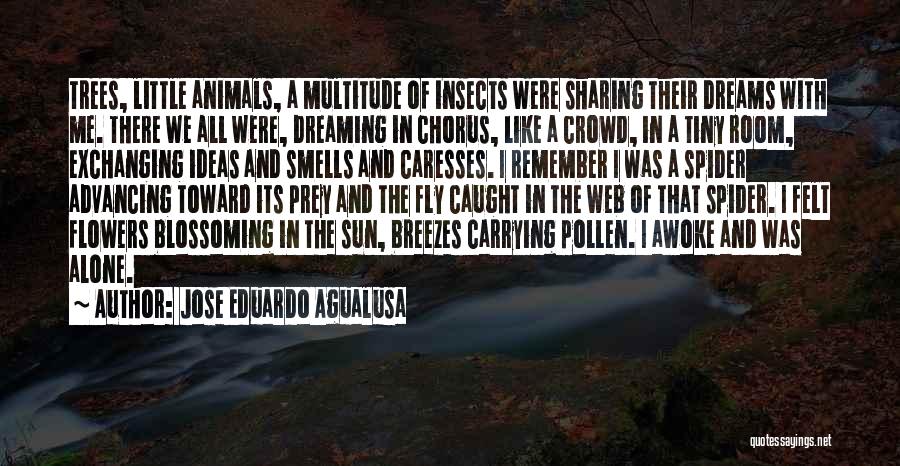 Jose Eduardo Agualusa Quotes: Trees, Little Animals, A Multitude Of Insects Were Sharing Their Dreams With Me. There We All Were, Dreaming In Chorus,