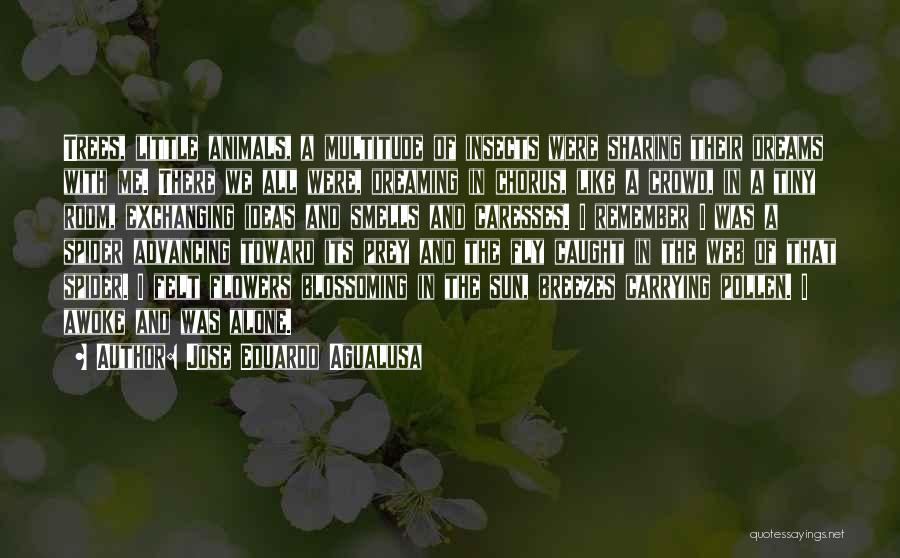 Jose Eduardo Agualusa Quotes: Trees, Little Animals, A Multitude Of Insects Were Sharing Their Dreams With Me. There We All Were, Dreaming In Chorus,