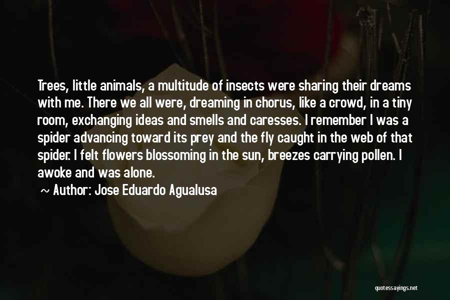 Jose Eduardo Agualusa Quotes: Trees, Little Animals, A Multitude Of Insects Were Sharing Their Dreams With Me. There We All Were, Dreaming In Chorus,