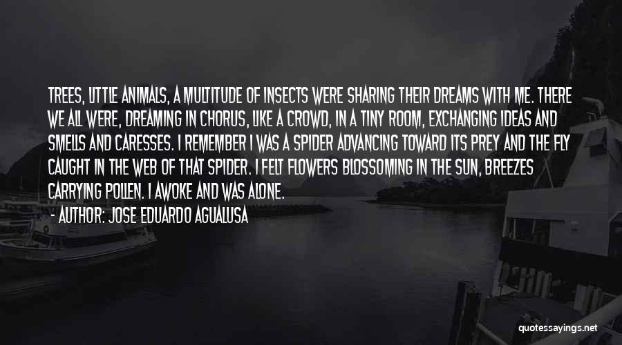 Jose Eduardo Agualusa Quotes: Trees, Little Animals, A Multitude Of Insects Were Sharing Their Dreams With Me. There We All Were, Dreaming In Chorus,