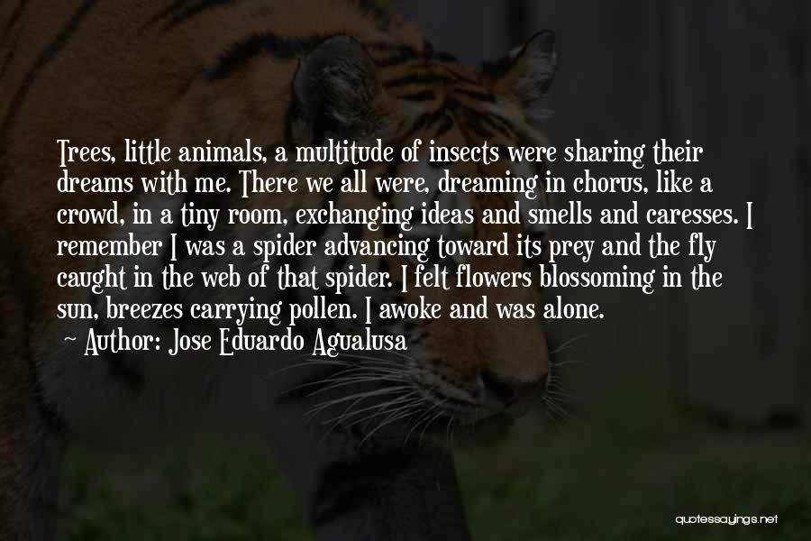 Jose Eduardo Agualusa Quotes: Trees, Little Animals, A Multitude Of Insects Were Sharing Their Dreams With Me. There We All Were, Dreaming In Chorus,