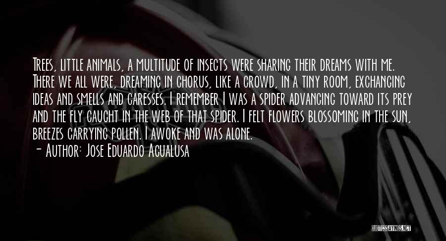 Jose Eduardo Agualusa Quotes: Trees, Little Animals, A Multitude Of Insects Were Sharing Their Dreams With Me. There We All Were, Dreaming In Chorus,