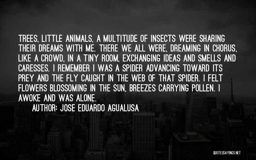 Jose Eduardo Agualusa Quotes: Trees, Little Animals, A Multitude Of Insects Were Sharing Their Dreams With Me. There We All Were, Dreaming In Chorus,