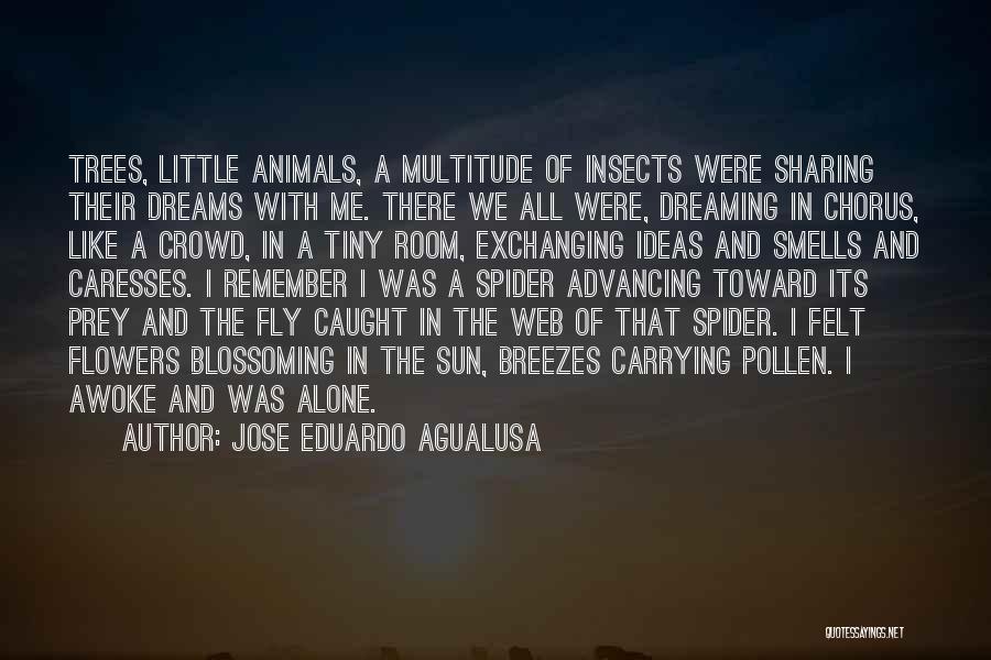 Jose Eduardo Agualusa Quotes: Trees, Little Animals, A Multitude Of Insects Were Sharing Their Dreams With Me. There We All Were, Dreaming In Chorus,