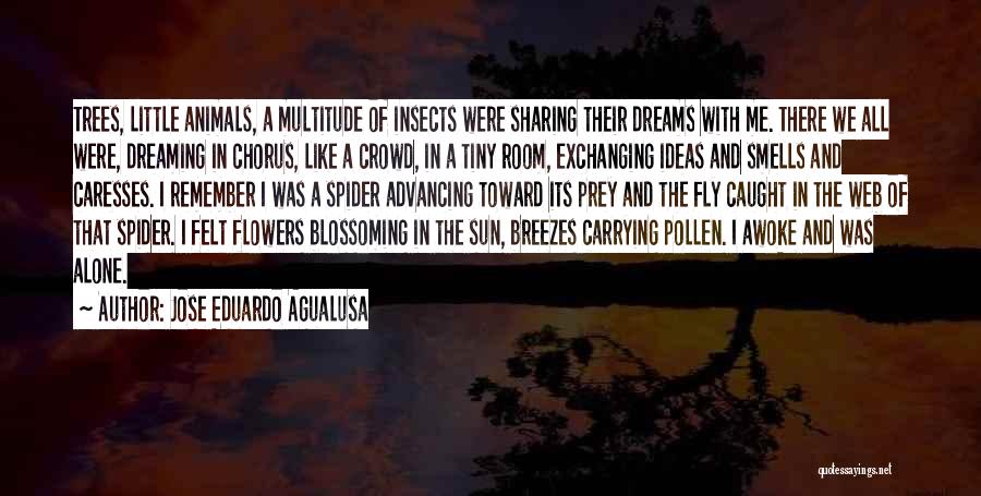 Jose Eduardo Agualusa Quotes: Trees, Little Animals, A Multitude Of Insects Were Sharing Their Dreams With Me. There We All Were, Dreaming In Chorus,