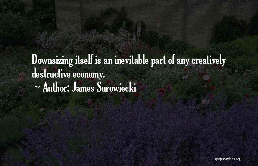 James Surowiecki Quotes: Downsizing Itself Is An Inevitable Part Of Any Creatively Destructive Economy.