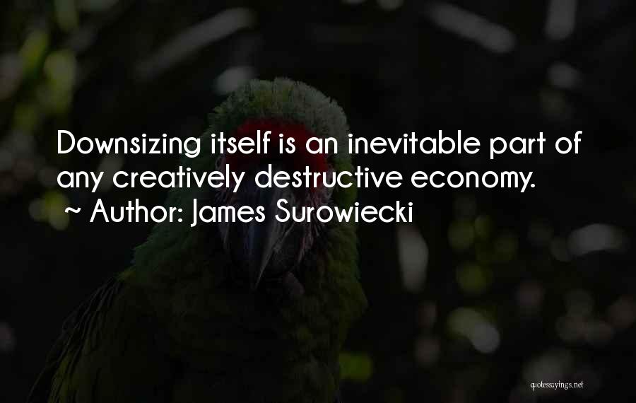 James Surowiecki Quotes: Downsizing Itself Is An Inevitable Part Of Any Creatively Destructive Economy.