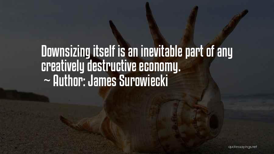 James Surowiecki Quotes: Downsizing Itself Is An Inevitable Part Of Any Creatively Destructive Economy.