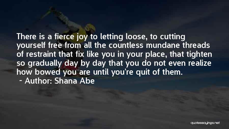 Shana Abe Quotes: There Is A Fierce Joy To Letting Loose, To Cutting Yourself Free From All The Countless Mundane Threads Of Restraint