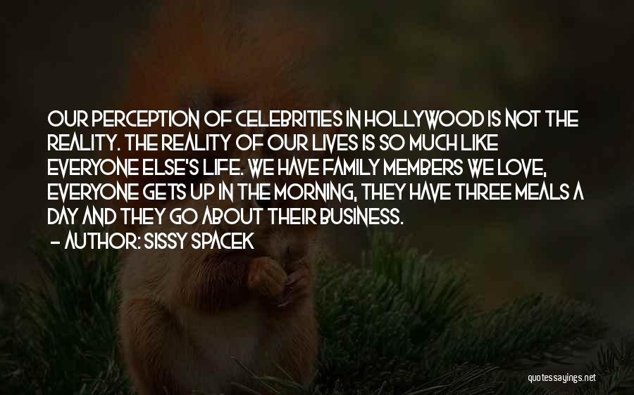 Sissy Spacek Quotes: Our Perception Of Celebrities In Hollywood Is Not The Reality. The Reality Of Our Lives Is So Much Like Everyone