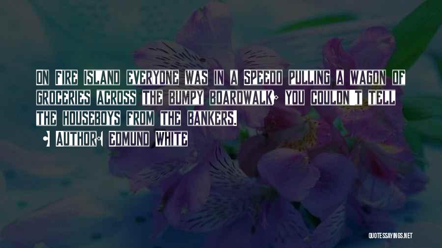 Edmund White Quotes: On Fire Island Everyone Was In A Speedo Pulling A Wagon Of Groceries Across The Bumpy Boardwalk; You Couldn't Tell
