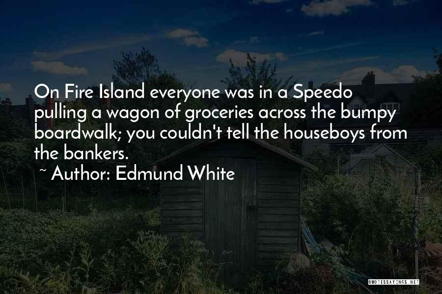 Edmund White Quotes: On Fire Island Everyone Was In A Speedo Pulling A Wagon Of Groceries Across The Bumpy Boardwalk; You Couldn't Tell