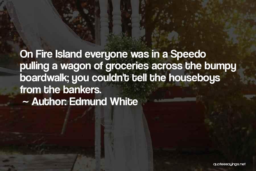 Edmund White Quotes: On Fire Island Everyone Was In A Speedo Pulling A Wagon Of Groceries Across The Bumpy Boardwalk; You Couldn't Tell