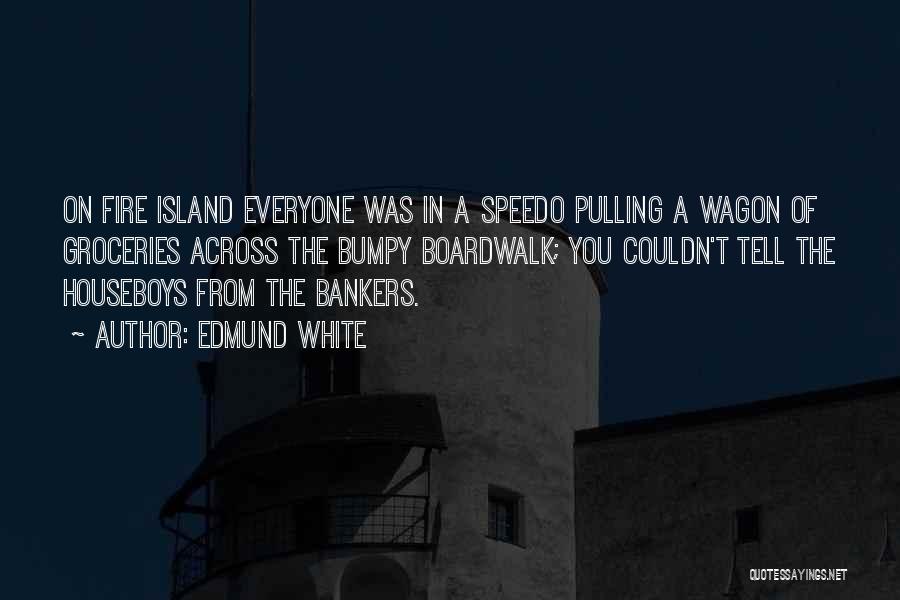 Edmund White Quotes: On Fire Island Everyone Was In A Speedo Pulling A Wagon Of Groceries Across The Bumpy Boardwalk; You Couldn't Tell