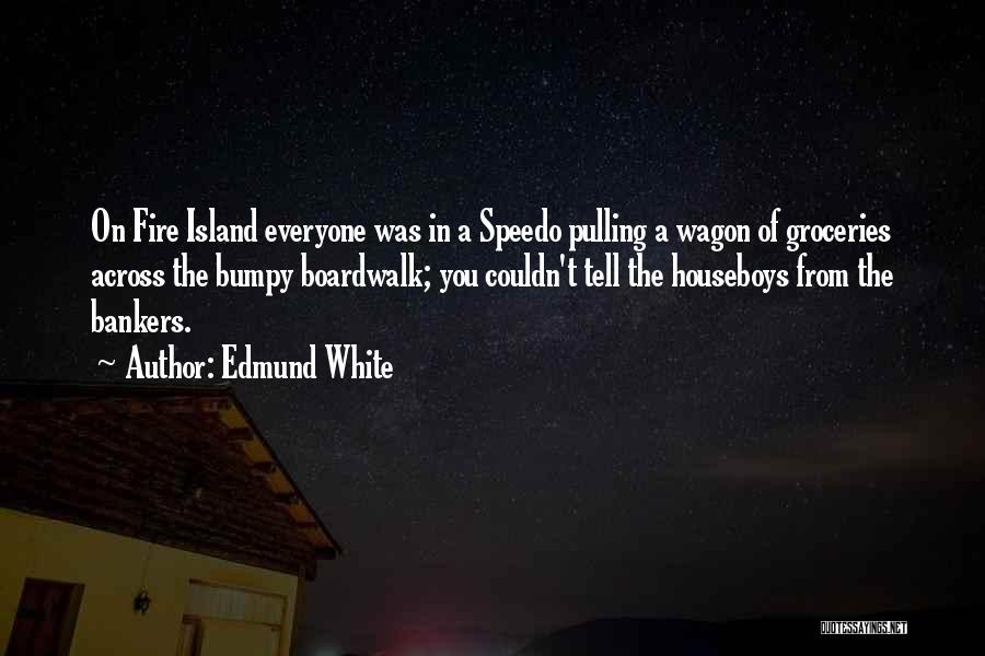 Edmund White Quotes: On Fire Island Everyone Was In A Speedo Pulling A Wagon Of Groceries Across The Bumpy Boardwalk; You Couldn't Tell