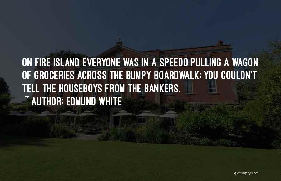 Edmund White Quotes: On Fire Island Everyone Was In A Speedo Pulling A Wagon Of Groceries Across The Bumpy Boardwalk; You Couldn't Tell