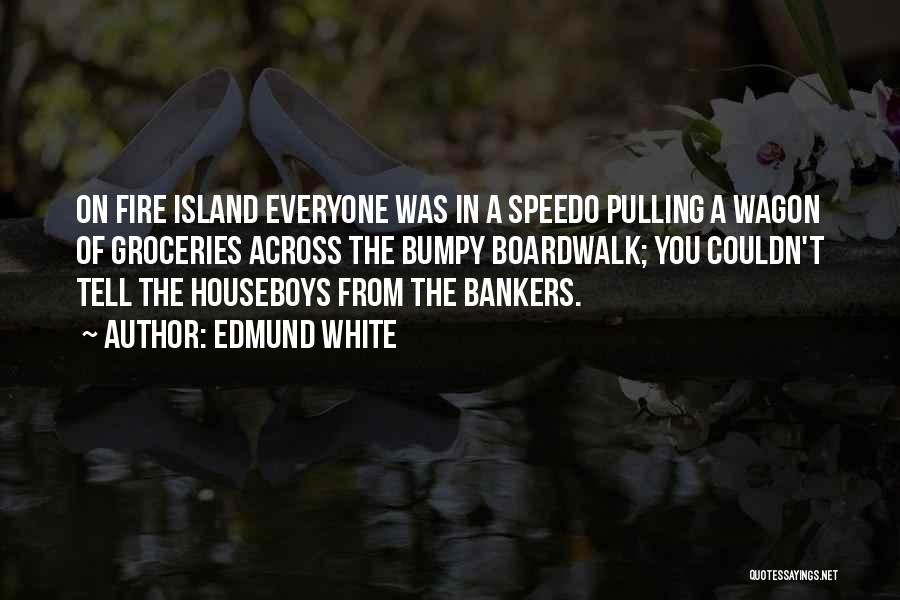 Edmund White Quotes: On Fire Island Everyone Was In A Speedo Pulling A Wagon Of Groceries Across The Bumpy Boardwalk; You Couldn't Tell