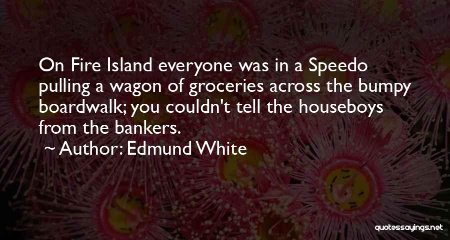 Edmund White Quotes: On Fire Island Everyone Was In A Speedo Pulling A Wagon Of Groceries Across The Bumpy Boardwalk; You Couldn't Tell