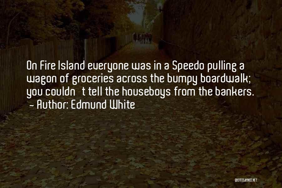 Edmund White Quotes: On Fire Island Everyone Was In A Speedo Pulling A Wagon Of Groceries Across The Bumpy Boardwalk; You Couldn't Tell