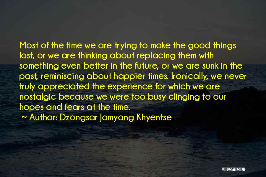 Dzongsar Jamyang Khyentse Quotes: Most Of The Time We Are Trying To Make The Good Things Last, Or We Are Thinking About Replacing Them