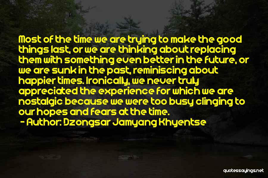 Dzongsar Jamyang Khyentse Quotes: Most Of The Time We Are Trying To Make The Good Things Last, Or We Are Thinking About Replacing Them