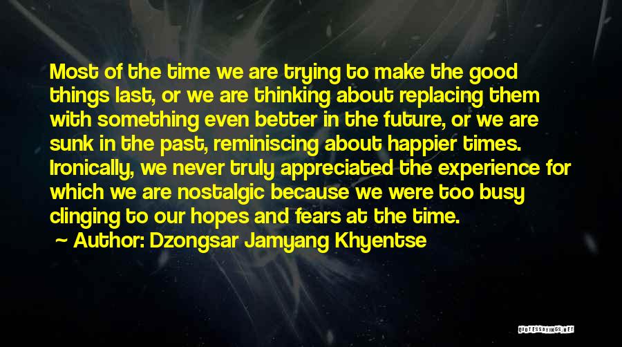 Dzongsar Jamyang Khyentse Quotes: Most Of The Time We Are Trying To Make The Good Things Last, Or We Are Thinking About Replacing Them