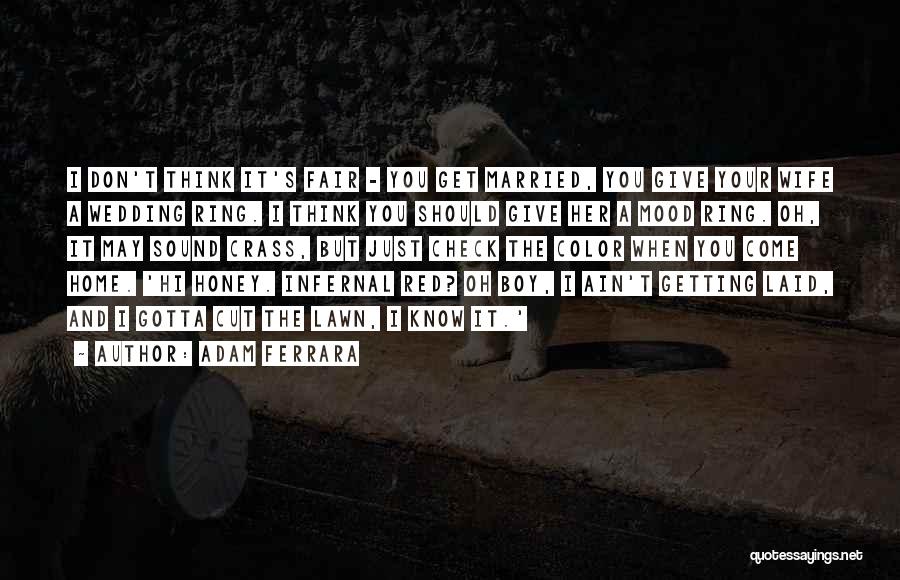Adam Ferrara Quotes: I Don't Think It's Fair - You Get Married, You Give Your Wife A Wedding Ring. I Think You Should