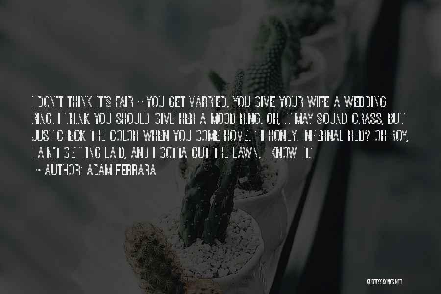 Adam Ferrara Quotes: I Don't Think It's Fair - You Get Married, You Give Your Wife A Wedding Ring. I Think You Should