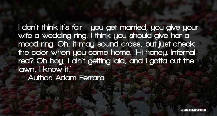 Adam Ferrara Quotes: I Don't Think It's Fair - You Get Married, You Give Your Wife A Wedding Ring. I Think You Should