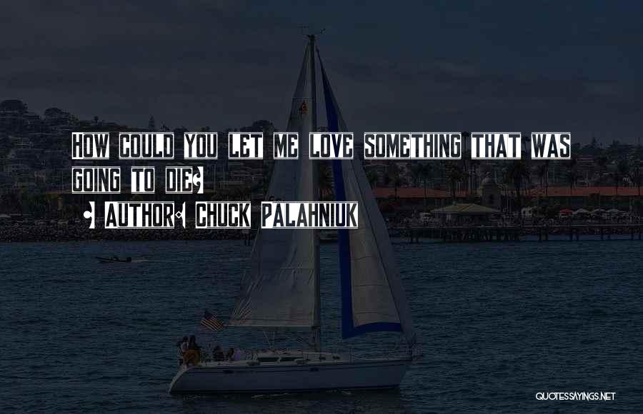 Chuck Palahniuk Quotes: How Could You Let Me Love Something That Was Going To Die?