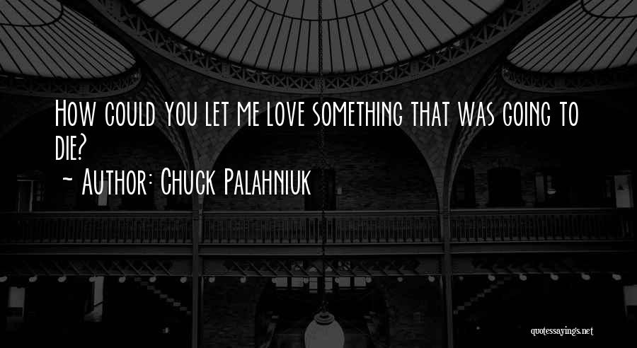 Chuck Palahniuk Quotes: How Could You Let Me Love Something That Was Going To Die?