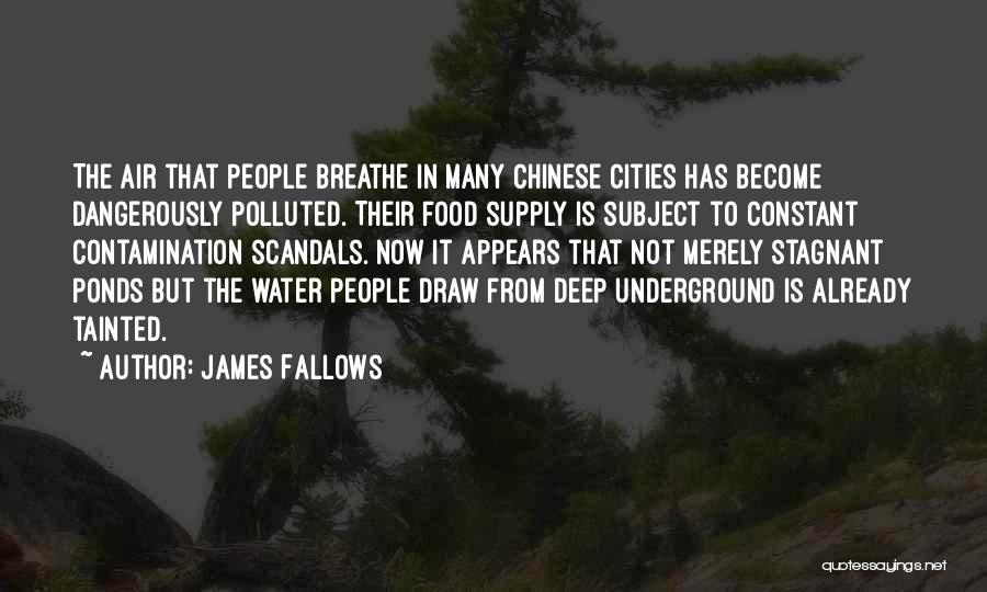 James Fallows Quotes: The Air That People Breathe In Many Chinese Cities Has Become Dangerously Polluted. Their Food Supply Is Subject To Constant