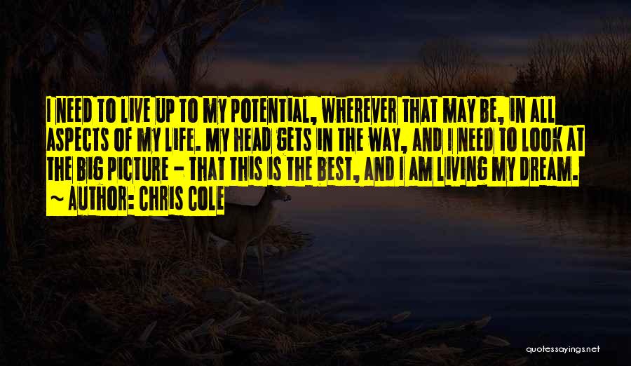 Chris Cole Quotes: I Need To Live Up To My Potential, Wherever That May Be, In All Aspects Of My Life. My Head